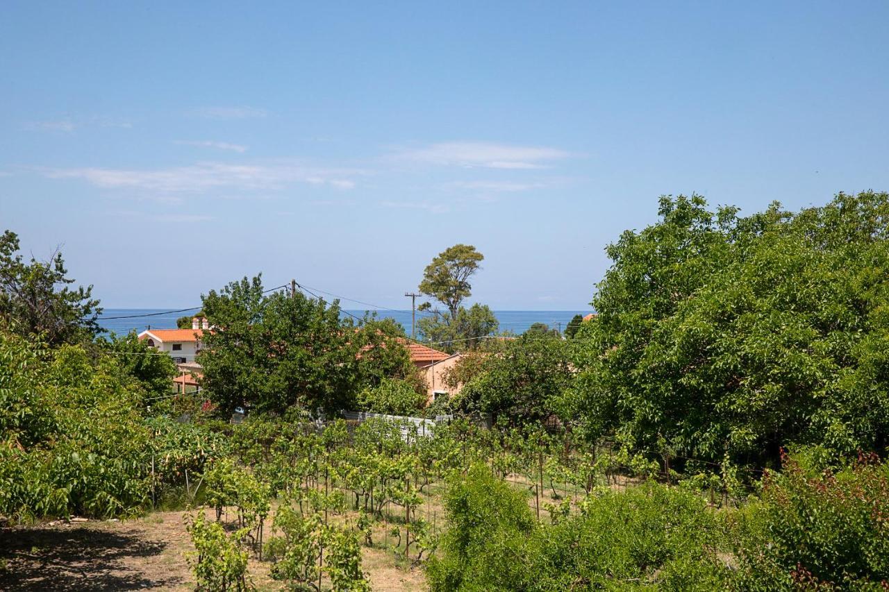 Irini Apartments And Studios Agios Gordios  Exterior foto